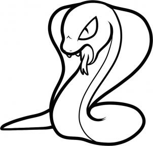 302x288 how to draw how to draw a cobra for kids - Cobra Drawing