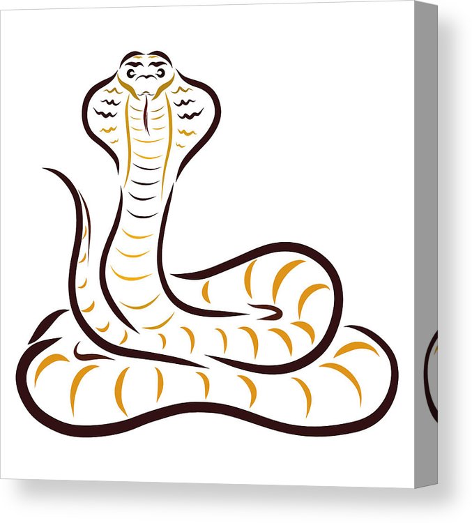 677x750 cobra, drawing with flowing lines, pattern canvas print canvas - Cobra Drawing
