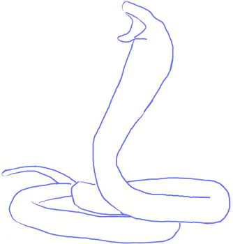 334x350 How To Draw A King Cobra Snake - Cobra Head Drawing