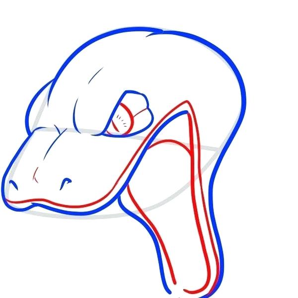 600x600 Snake Head Drawings Corn Snake - Cobra Head Drawing