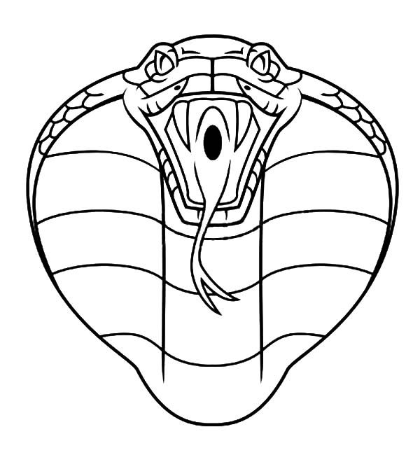 600x680 Cobra Drawing Outline For Free Download - Cobra Head Drawing