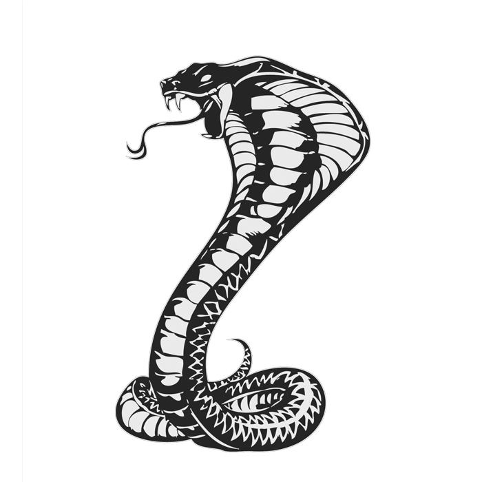 700x700 Download Cobras King Cobra Snakes Tattoo Snake Drawing Clipart Png - Cobra Snake Drawing