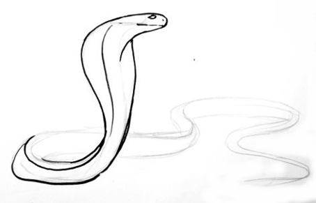 454x291 How To Draw A Cobra - Cobra Snake Drawing