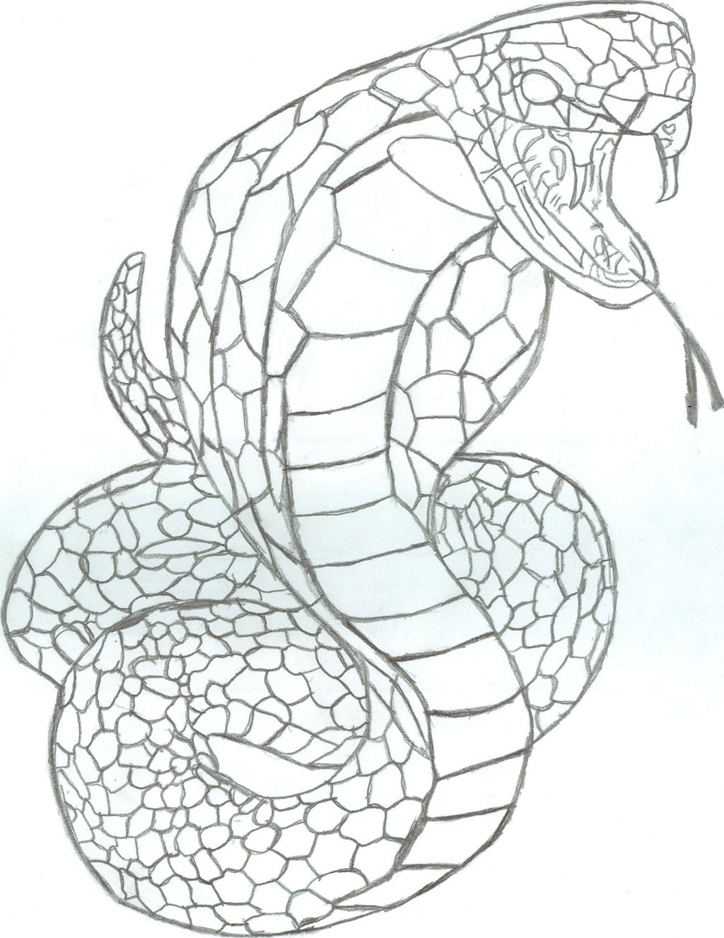 1024x1327 king cobra sketch king cobra snake drawing at getdrawings free - Cobra Snake Drawing