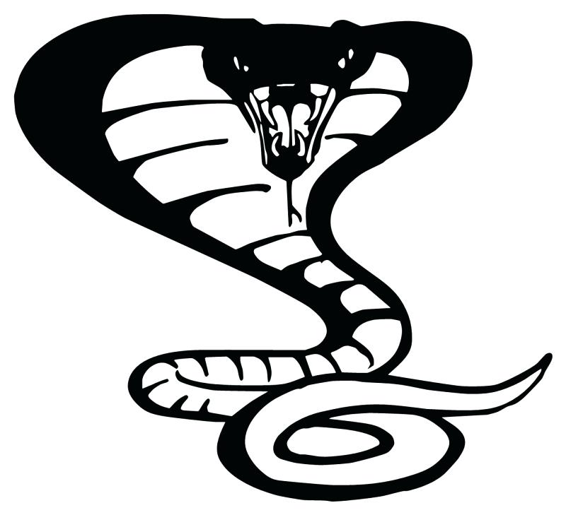 Cobra Snake Drawing at PaintingValley.com | Explore collection of Cobra ...