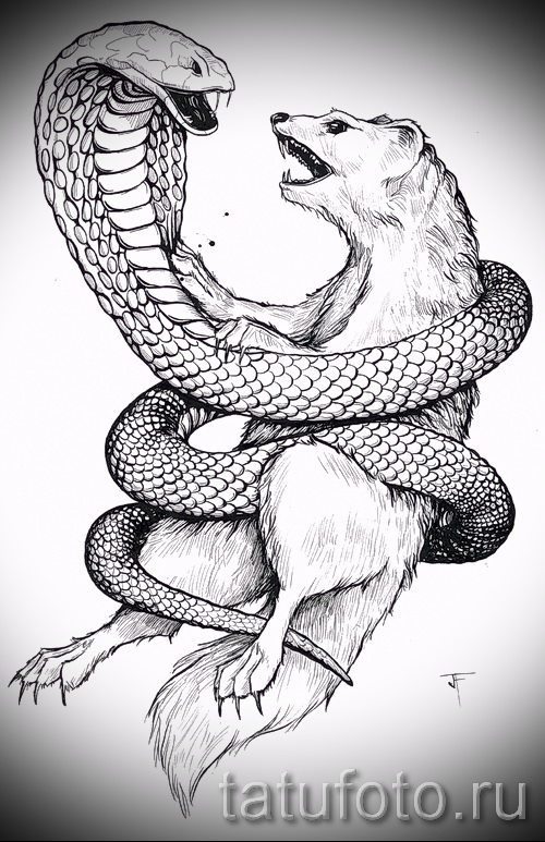 500x773 Cobra Snake Head Drawing - Cobra Snake Head Drawing