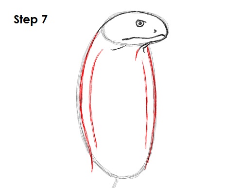 500x386 How To Draw A Snake - Cobra Snake Head Drawing