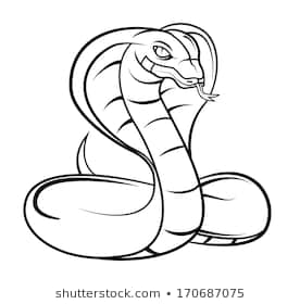 276x280 Huge Collection Of 'king Cobra Head Drawing' Download More Than - Cobra Snake Head Drawing