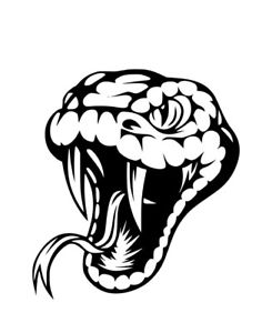 245x300 Serpent Cobra Snake Head Vinyl Decal Sticker Car Truck Van Bumper - Cobra Snake Head Drawing