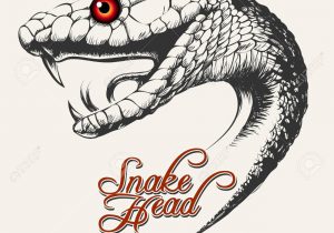 300x210 Snake Head Drawing Cobra Snake Head Royalty Free Cliparts, Vectors - Cobra Snake Head Drawing