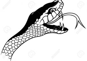 300x210 Snake Head Drawing King Cobra Head Drawing At Getdrawings Free - Cobra Snake Head Drawing