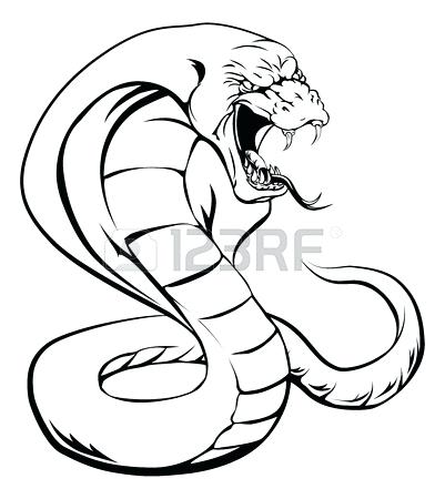 401x450 a cobra snake cobra snake head drawing judebarker club - Cobra Snake Head Drawing