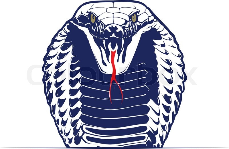 800x521 Cartoon Style Cobra Snake Face Stock Vector Colourbox - Cobra Snake Head Drawing