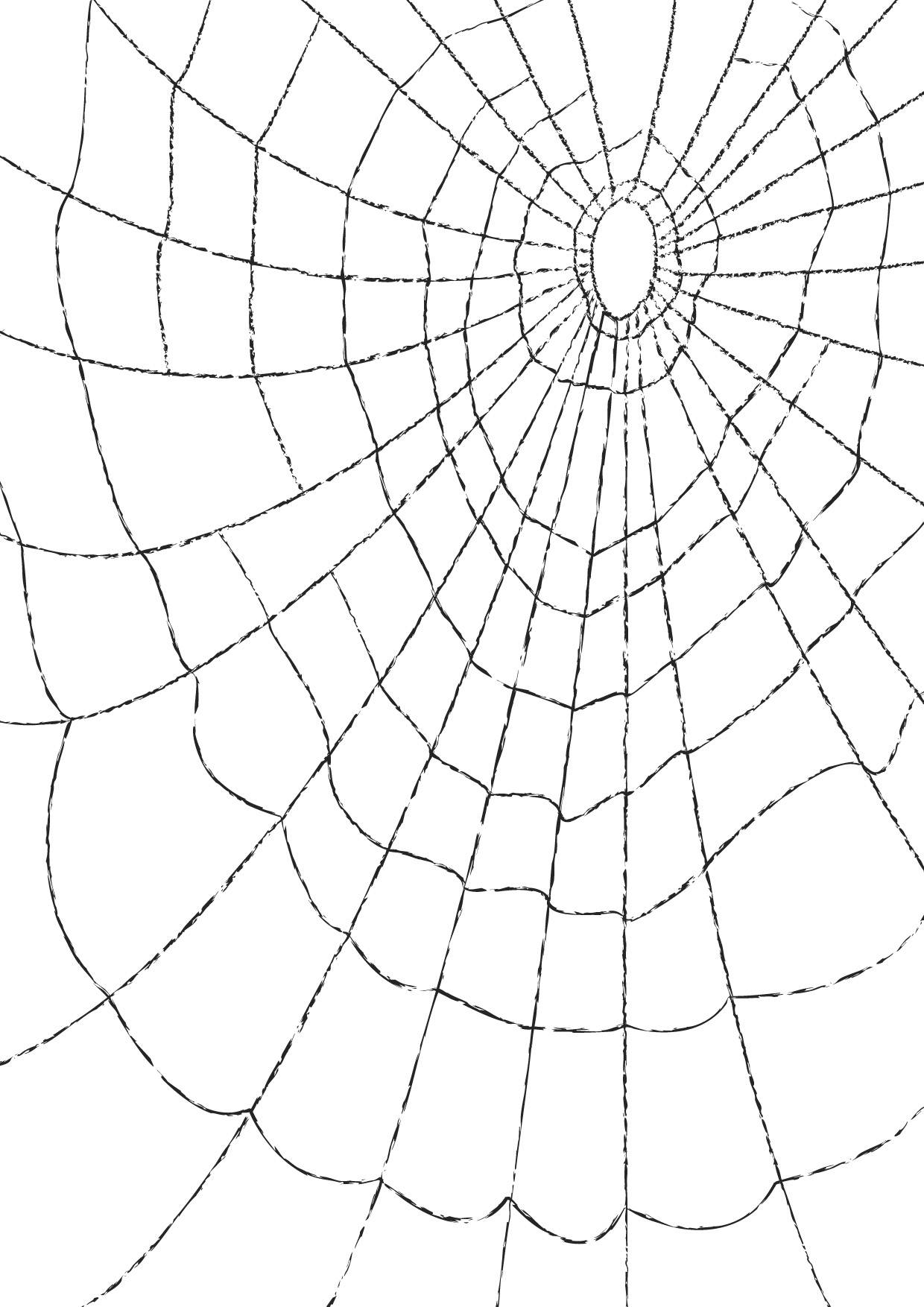 Cobweb Drawing at Explore collection of Cobweb Drawing
