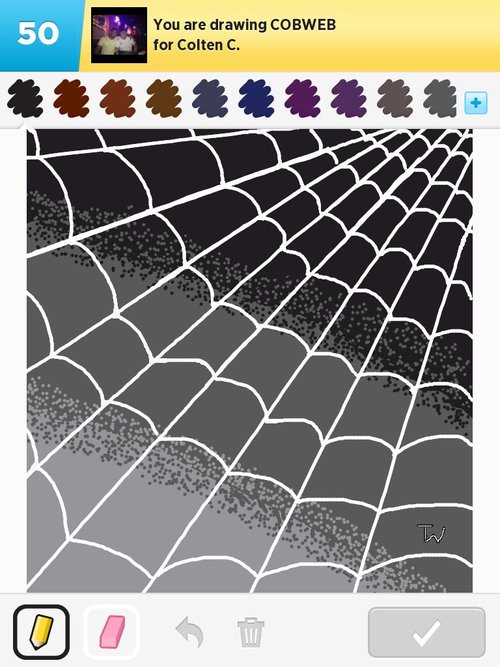 500x667 cobweb drawings - Cobweb Drawing