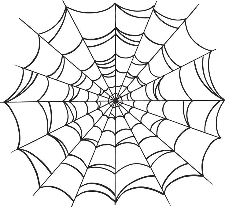 736x676 cobweb drawing free download - Cobweb Drawing