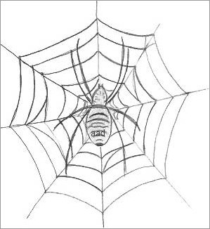 299x326 spider web drawing - Cobweb Drawing