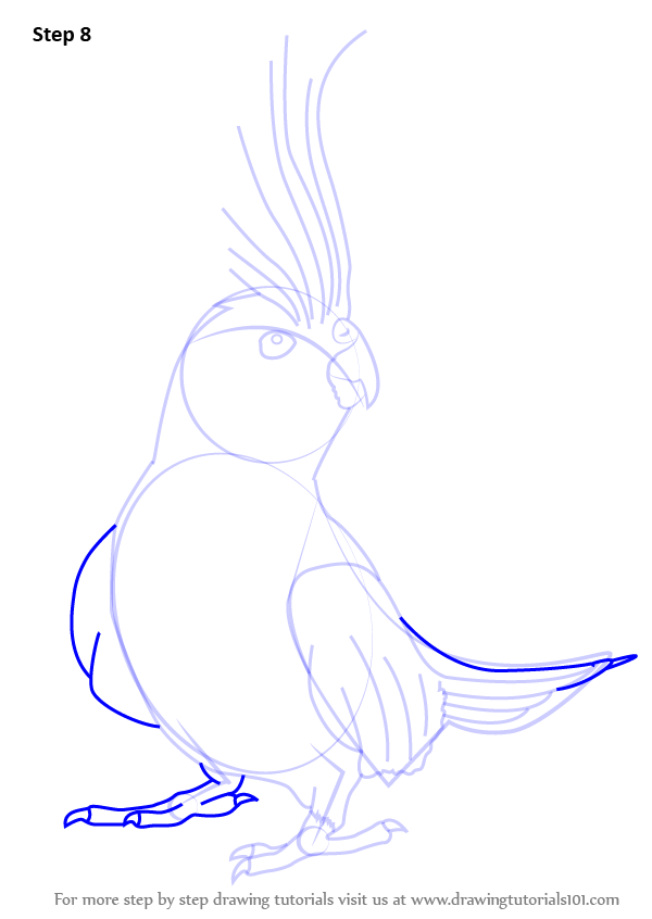 600x846 Learn How To Draw A Cockatiel - Cockatiel Drawing
