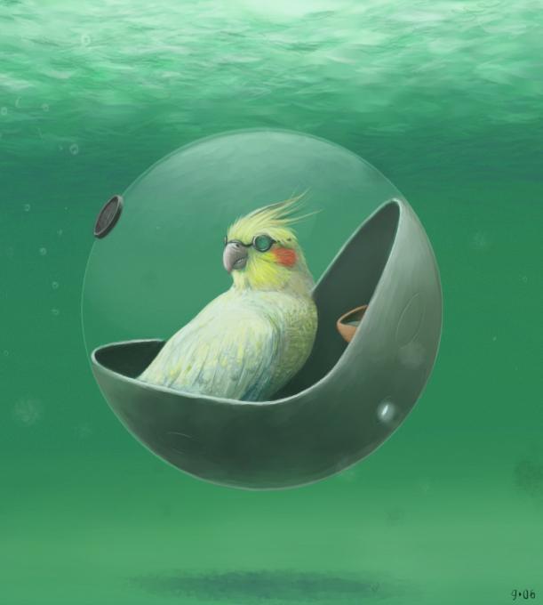 611x680 Cockatiel Engineering Drawing Drawings Pictures Drawings Ideas - Cockatiel Drawing