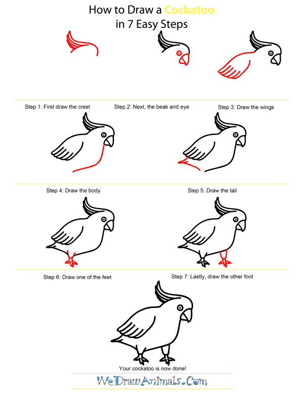 600x776 How To Draw A Cockatoo - Cockatoo Drawing