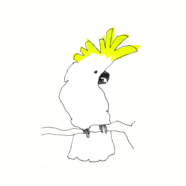 630x630 Cockatoo - Cockatoo Drawing