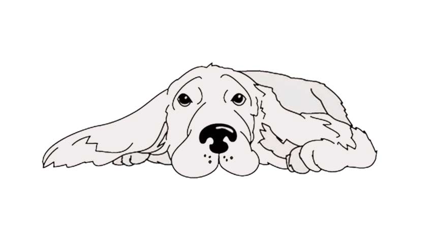 854x480 how to draw a cocker spaniel - Cocker Spaniel Drawing