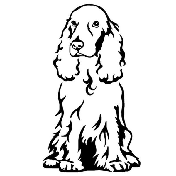 Cocker Spaniel Drawing at PaintingValley.com | Explore collection of