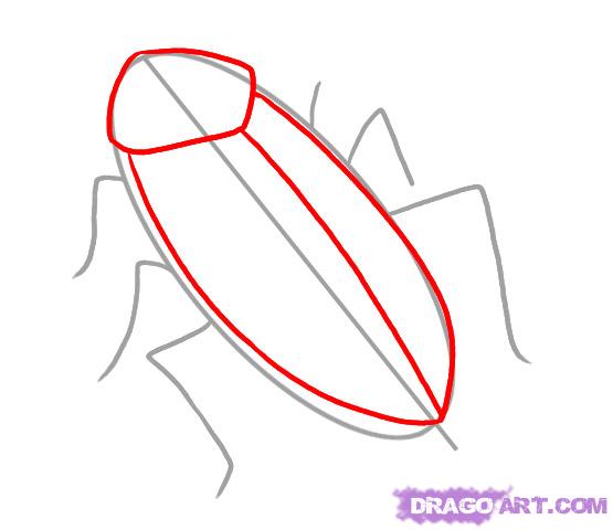 555x480 How To Draw A Cockroach, Step - Cockroach Drawing
