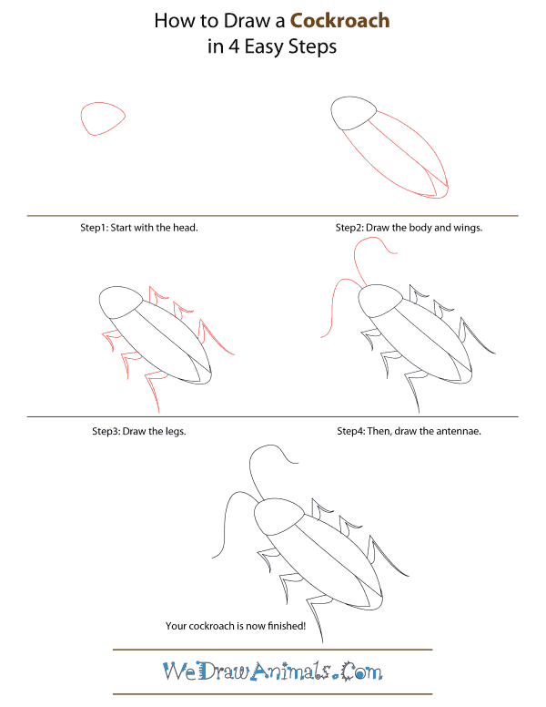 600x776 How To Draw A Cockroach - Cockroach Drawing