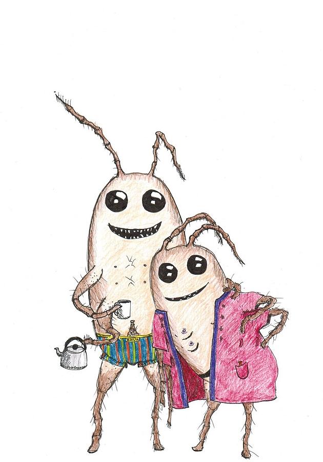 630x900 A Couple Of Cockroaches Drawing - Cockroach Drawing