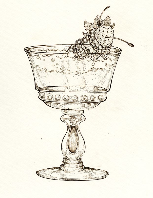 620x802 sketchbook cocktail illustration - Cocktail Glass Drawing