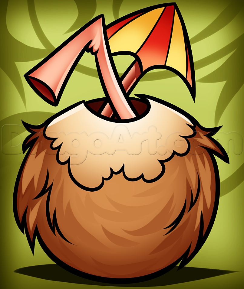 806x956 how to draw a coconut, step - Coconut Drawing