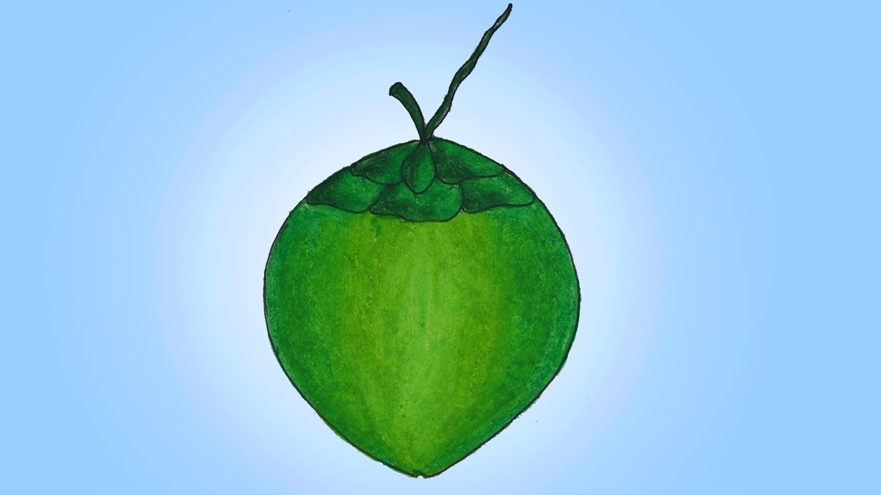 1280x720 how to draw green coconut easy and simple, green coconut drawing - Coconut Drawing