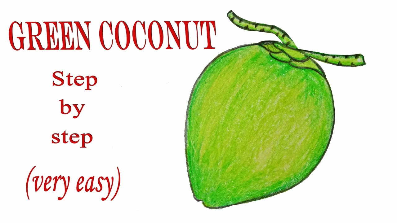 1280x720 how to draw a green coconut step - Coconut Drawing