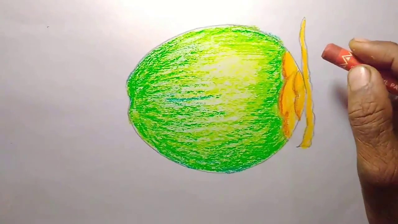 1280x720 how to draw a green coconut step - Coconut Drawing