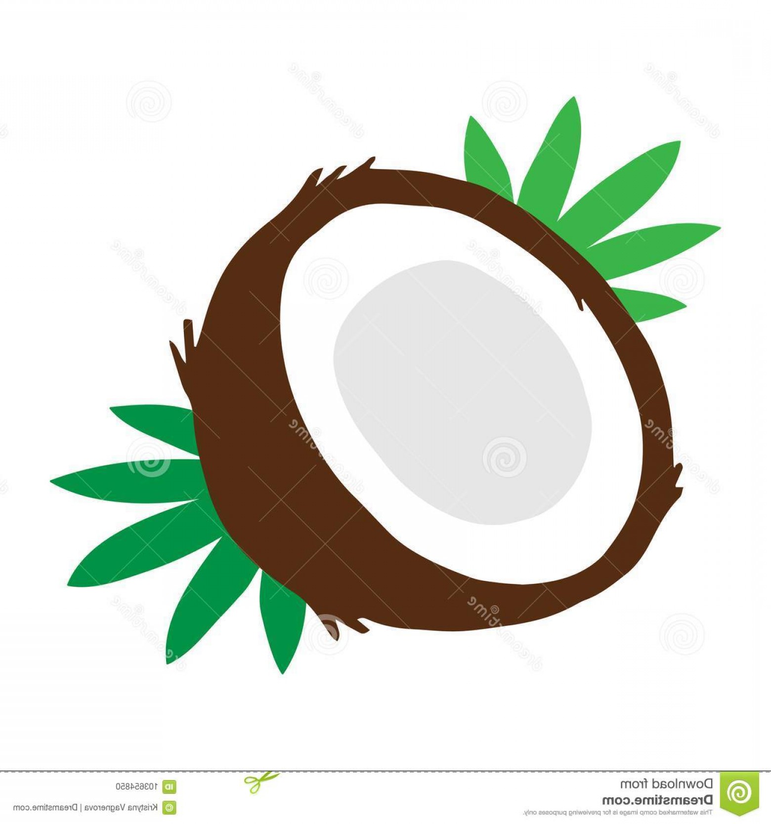 1560x1668 coconut fruit leaves vector coconut vector illustration drawing - Coconut Drawing