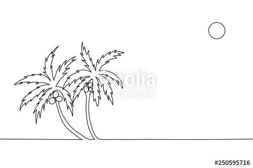 500x332 Continuous Line Drawing Of Palm Trees With Coconuts Stock Image - Coconut Line Drawing