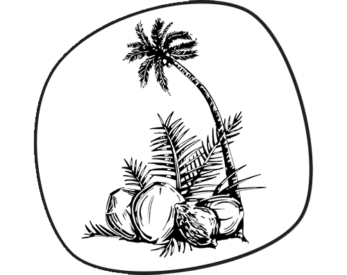 500x396 econutrena coconut product manufactuer sri lanka - Coconut Line Drawing