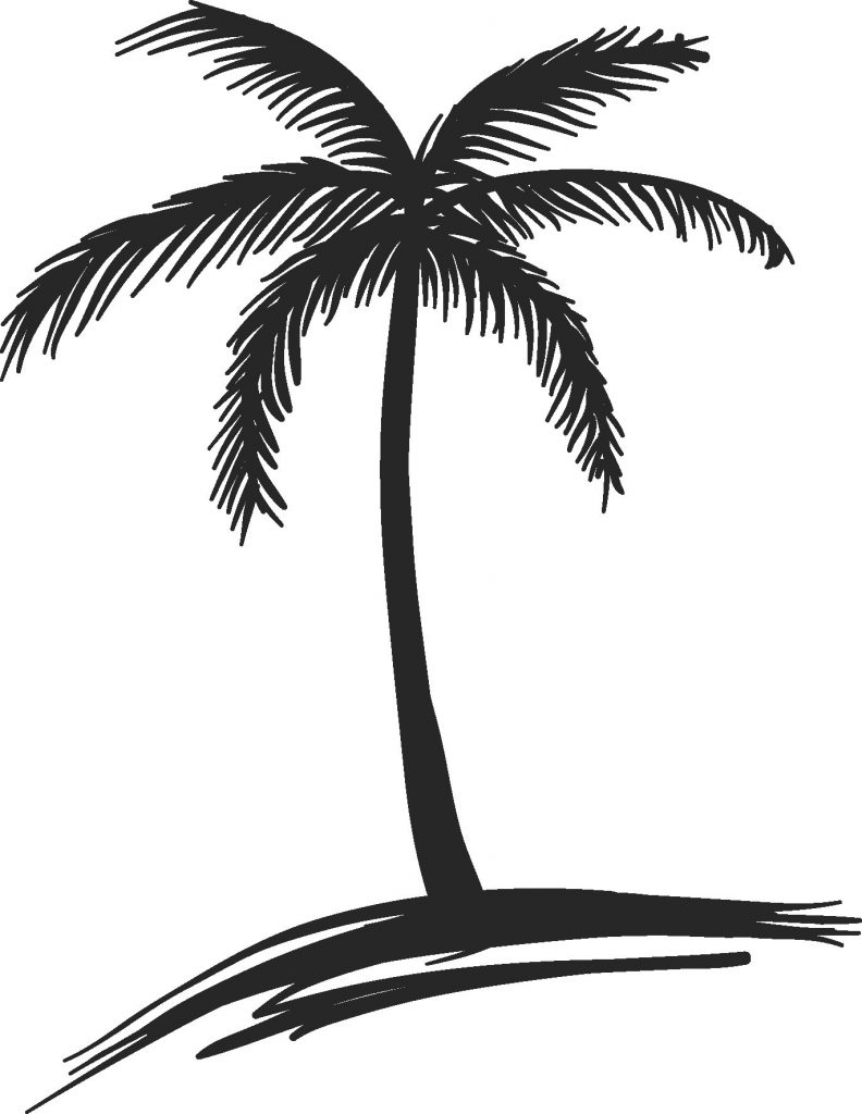 792x1024 how to draw palm trees fresh coconut line drawing at getdrawings - Coconut Line Drawing