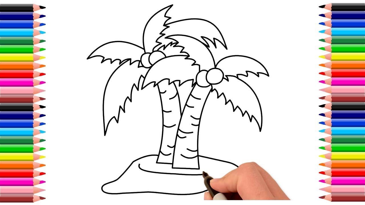 1280x720 how to draw coconut tree step - Coconut Line Drawing