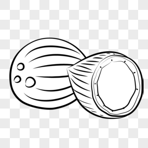 300x300 island line drawing coconut and coconut png image picture free - Coconut Line Drawing