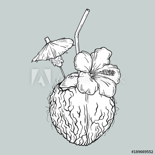 500x500 Vector Coconut Cocktail In Lines Line Art Style Isolated On Grey - Coconut Line Drawing