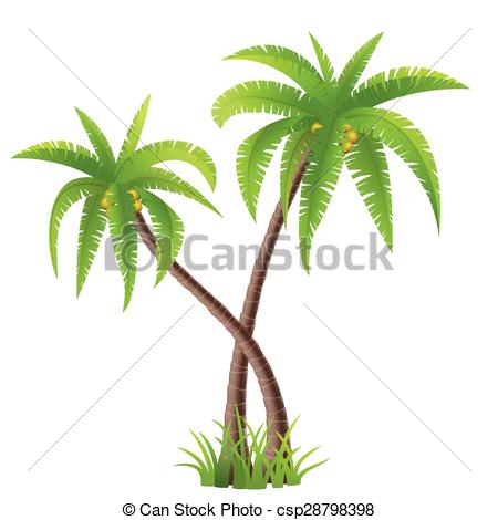 450x470 coconut palm trees two coconut palm trees isolated on white - Coconut Palm Tree Drawing