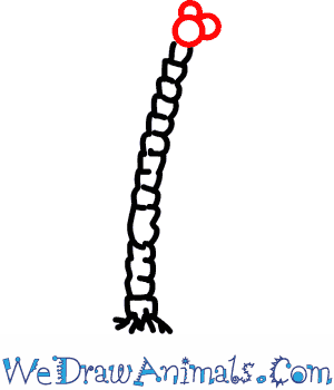 300x350 How To Draw A Coconut Palm Tree - Coconut Palm Tree Drawing