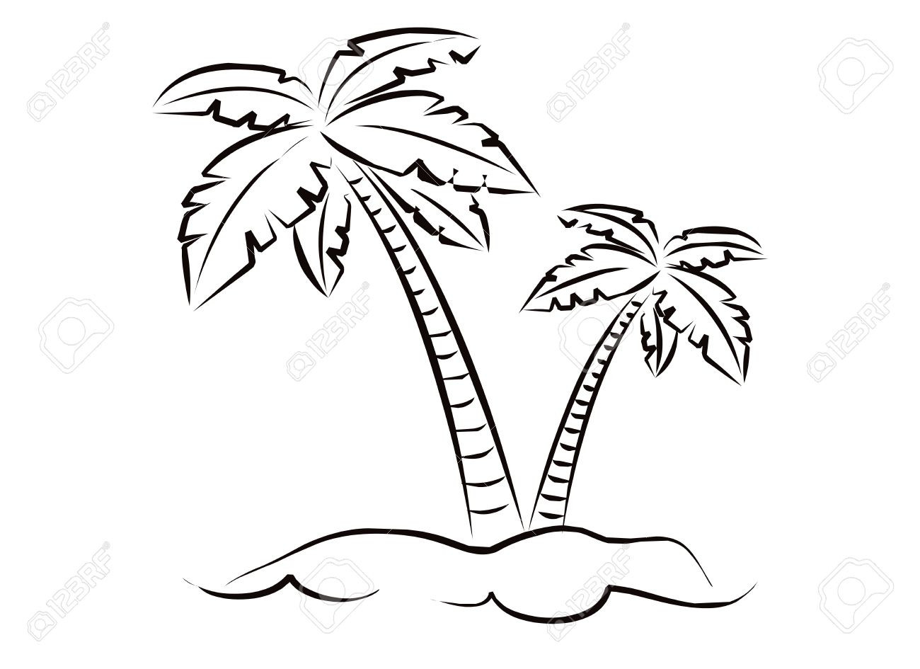 1300x945 palm tree pencil drawing luxury sketch a coconut tree coconut palm -...