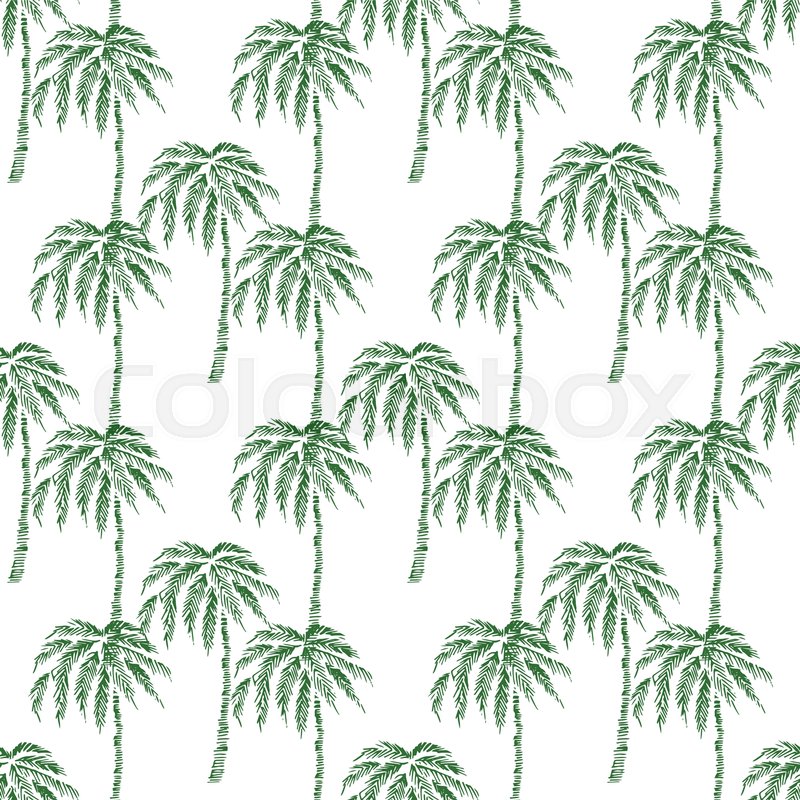 800x800 Seamless Pattern With Coconut Palm Stock Vector Colourbox - Coconut Palm Tree Drawing