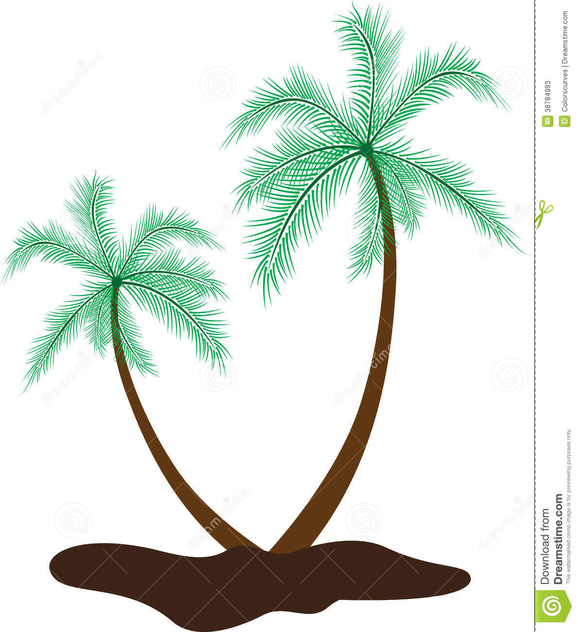1190x1300 Sturdy Drawing Of A Palm Tree Coconut At Getdrawings Com Free - Coconut Palm Tree Drawing
