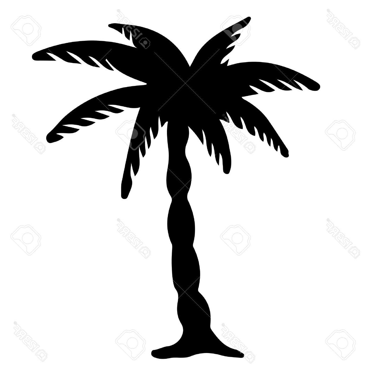 1300x1300 Best Hd Coconut Palm Tree Black Silhouette Isolated On White - Coconut Palm Tree Drawing