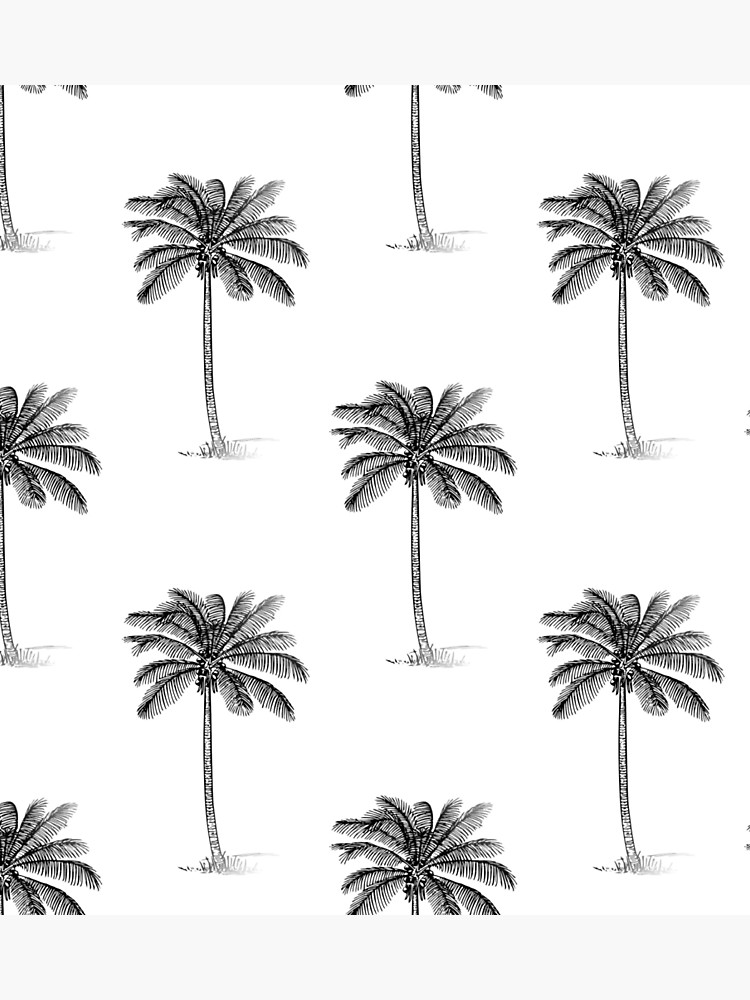 750x1000 Coconut Palm Trees Line Drawing Pattern Photographic Print - Coconut Palm Tree Drawing