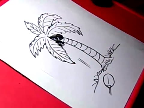 480x360 How To Coconut Tree Drawing For Kids Step - Coconut Tree Drawing